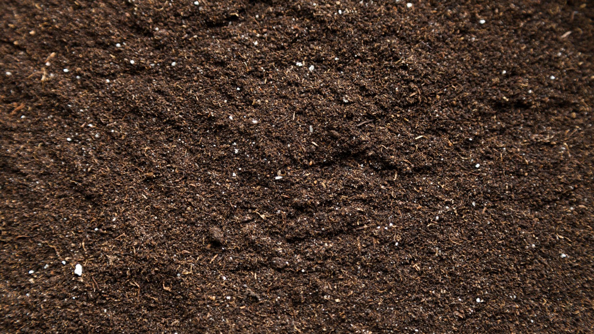 close up view of top soil