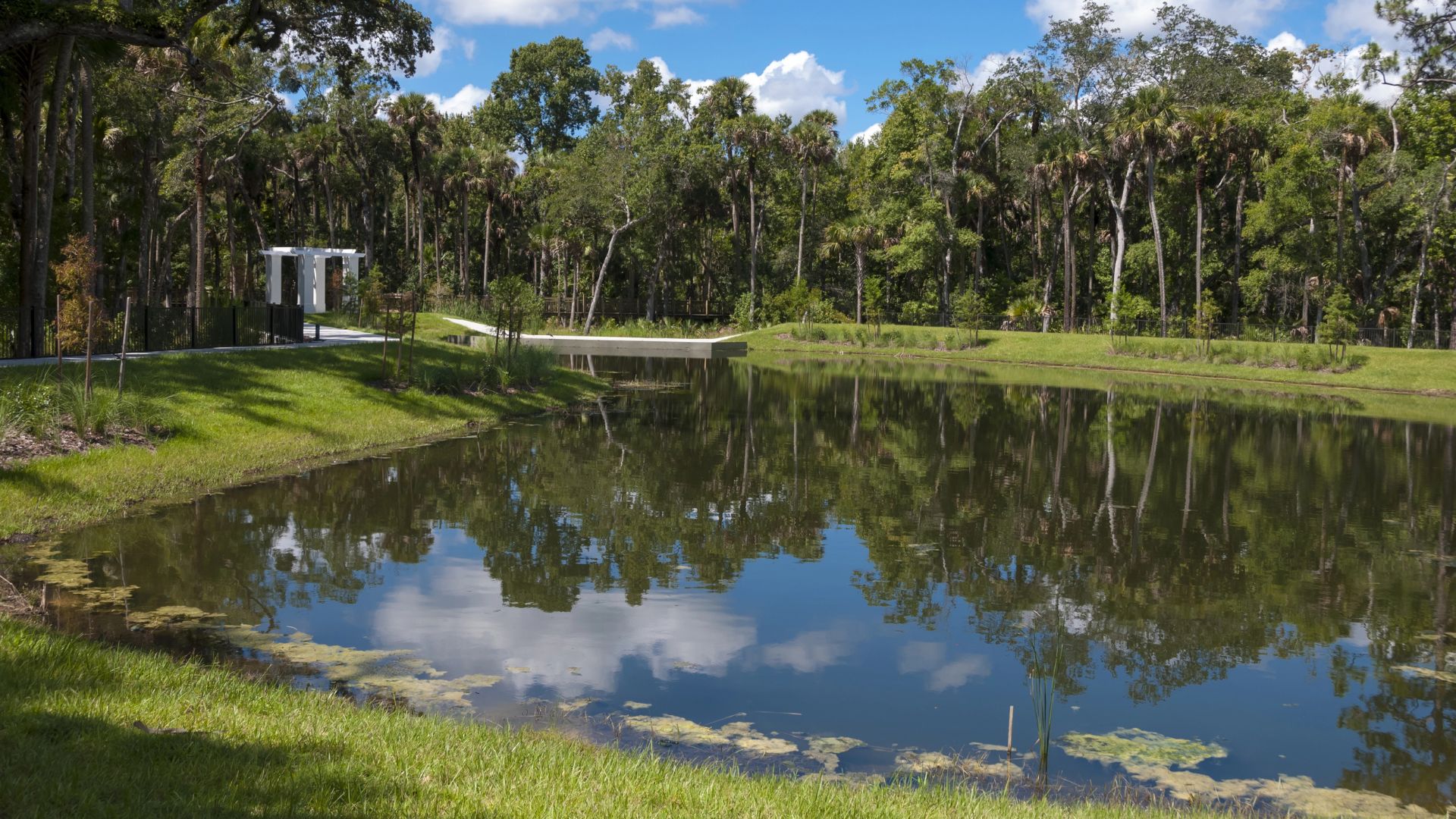 a commercial retention pond surrounded by lush greenery